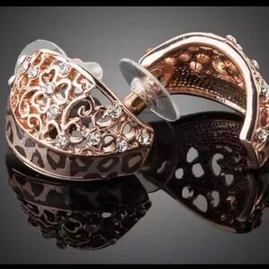 New Australian Crystal Earrings